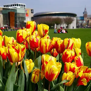 De Hallen Ámsterdam